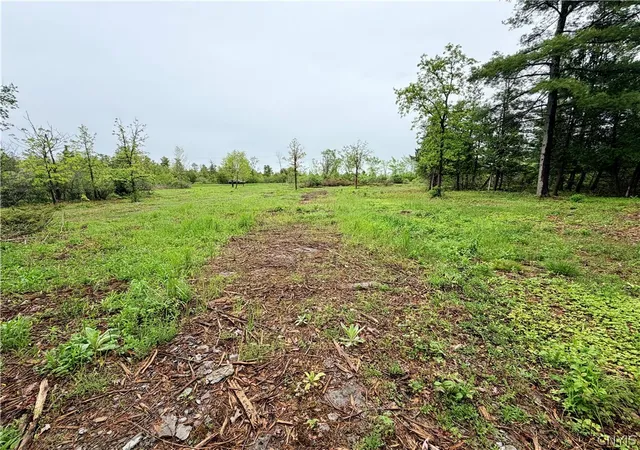 Homes for sale in Cape Vincent, NY | County Rte 8, Cape Vincent, NY 13618 | MLS# S1684833