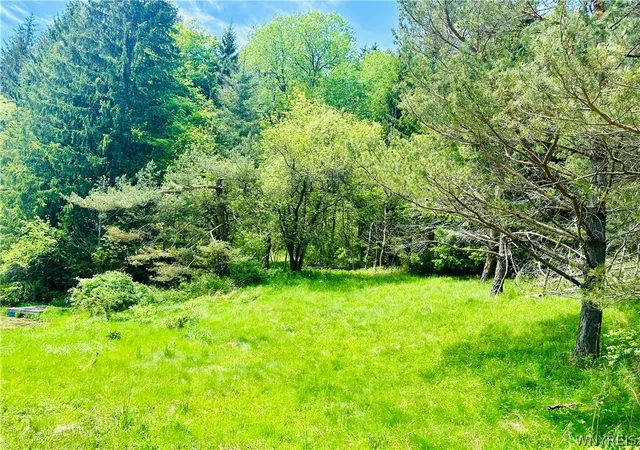 Homes for sale in Fremont, NY | 9023 State Route 21, Fremont, NY 14826 | MLS# B1685137