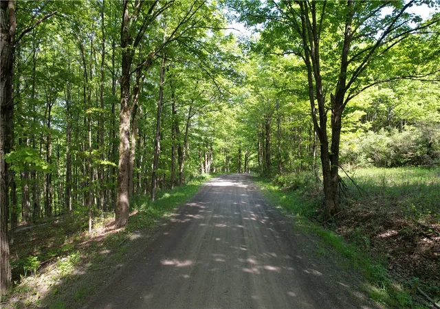 Homes for sale in Erin, NY | 326 Park Hill Rd, Erin, NY 14838 | MLS# R1684744