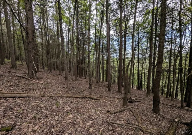 34th image of N Main Ext, Hornell, NY 14843 | MLS# S1685175