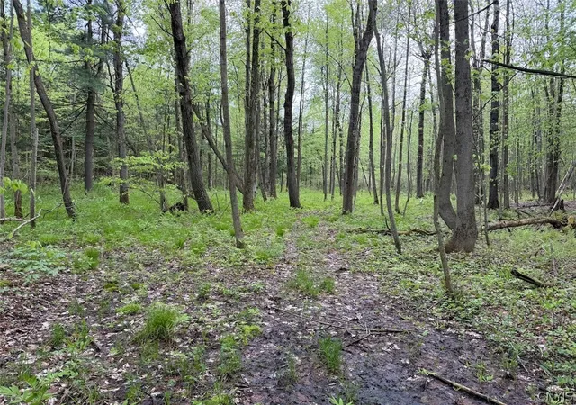 Photo 1 of Sale Pending at Slew Rd, Leon, NY 14138 | MLS# S1685223 | Listing updated on 2026-06-04