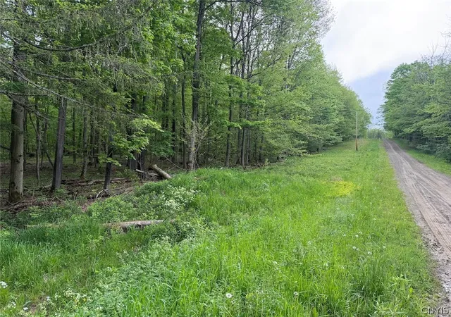 Photo 3 of Sale Pending at Slew Rd, Leon, NY 14138 | MLS# S1685223 | Listing updated on 2026-06-04