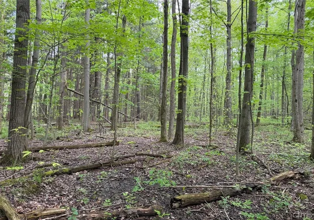 Photo 4 of Sale Pending at Slew Rd, Leon, NY 14138 | MLS# S1685223 | Listing updated on 2026-06-04
