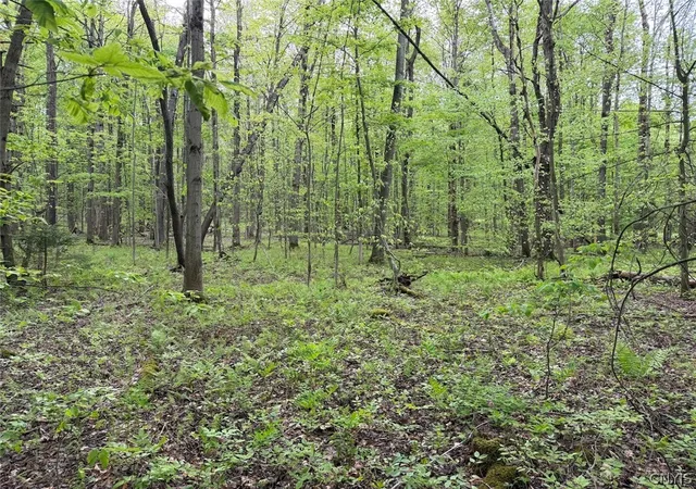 Photo 5 of Sale Pending at Slew Rd, Leon, NY 14138 | MLS# S1685223 | Listing updated on 2026-06-04