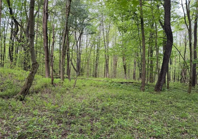 Photo 1 of Sale Pending at Kellogg Hl Rd, Leon, NY 14138 | MLS# S1685246 | Listing updated on 2026-06-04