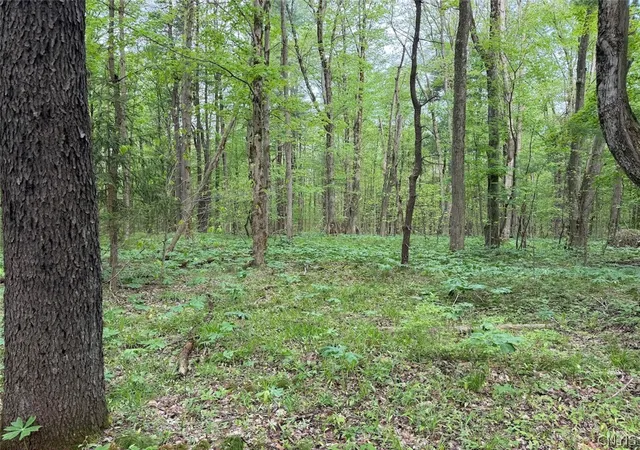 Photo 1 of Land for sale at Kellogg Hl Rd, Leon, NY 14138 | MLS# S1685268 | Listing updated on 2026-05-27