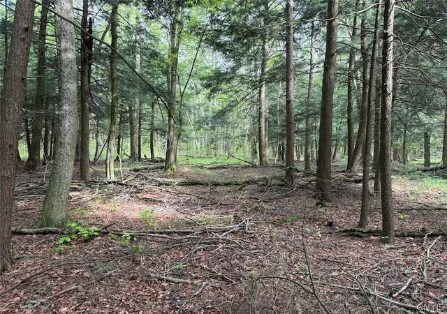 Photo 1 of Sale Pending at Kellogg Hl Rd, Leon, NY 14138 | MLS# S1685293 | Listing updated on 2026-06-08