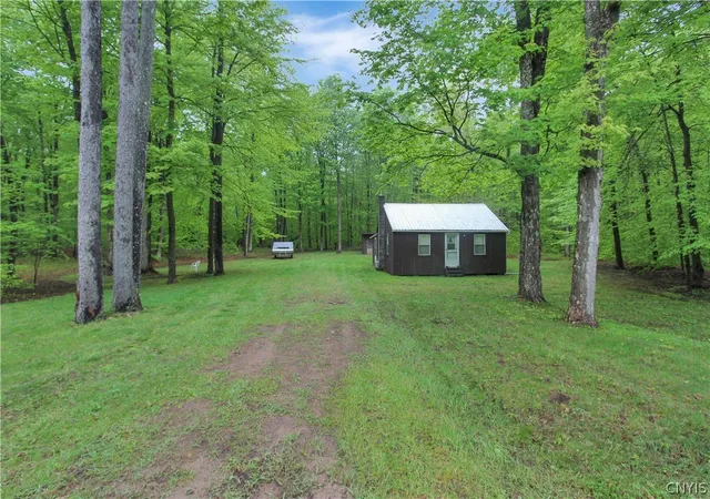Homes for sale in Watson, NY | 8745 Number Four Rd, Watson, NY 13367 | MLS# S1684473