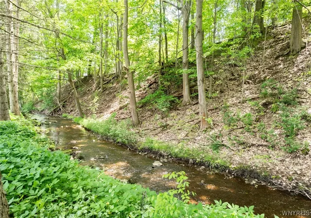 Homes for sale in Pike, NY | 7259 Main St, Pike, NY 14066 | MLS# B1684687