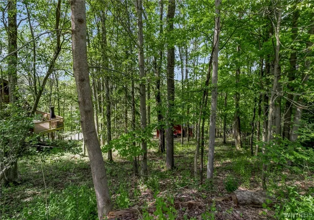 Photo 50 of Single family home for sale at 2 4 Sno Way, Ellicottville, NY 14731 | MLS# B1684693 | Listing updated on 2026-07-26