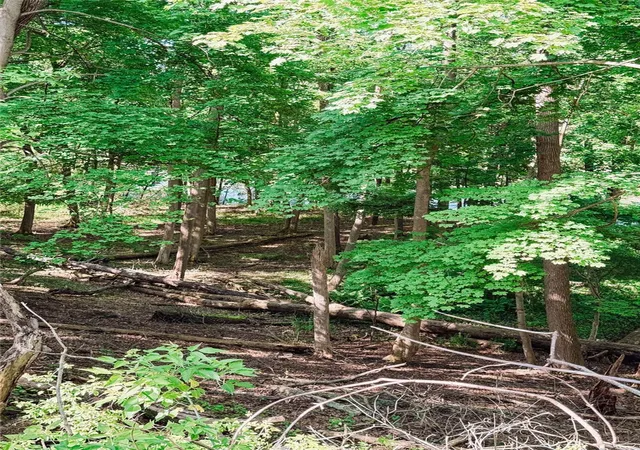47th image of 7139 Owasco Rd, Auburn, NY 13021 | MLS# R1685548