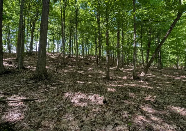 50th image of 540 Shumway Rd, Sweden, NY 14420 | MLS# B1685415