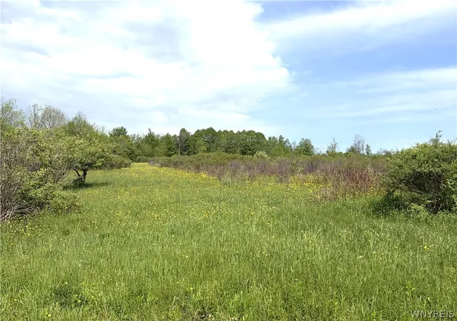 Homes for sale in Arcade, NY | 0 Vl Stinson Rd, Arcade, NY 14009 | MLS# B1685580