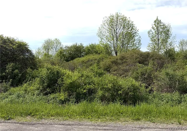 Homes for sale in Arcade, NY | 0 Vl Stinson Rd, Arcade, NY 14009 | MLS# B1685580