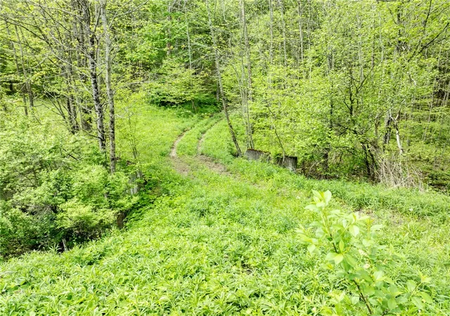 5th image of County Road 24, Columbus, NY 13411 | MLS# R1670224
