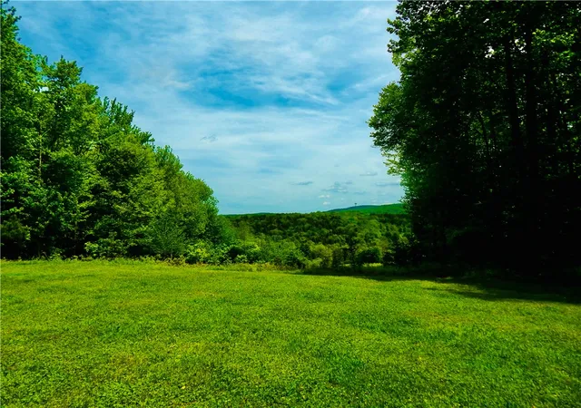 3rd image of 108 Toy Farm Rd, Hartwick, NY 13348 | MLS# R1684497