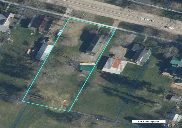 Homes for sale in Angelica, NY | 53 E Main St, Angelica, NY 14709 | MLS# S1685793