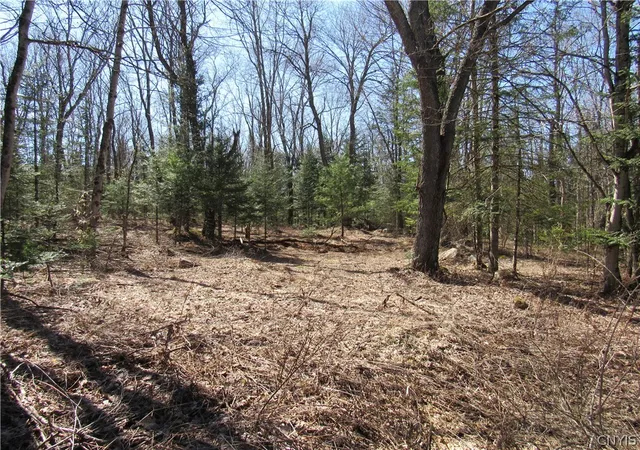 Homes for sale in Forestport, NY | 1018 South Rd, Forestport, NY 13338 | MLS# S1685523