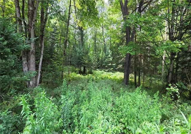 Homes for sale in Forestport, NY | 1018 South Rd, Forestport, NY 13338 | MLS# S1685523