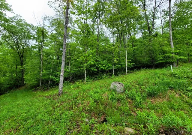 Homes for sale in Grove, NY | 0 Co Road 24  Lot 1, Grove, NY 14884 | MLS# B1685879