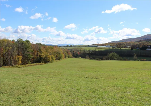 Homes for sale in Gilboa, NY | 238 Blackberry St, Gilboa, NY 12167 | MLS# R1685876