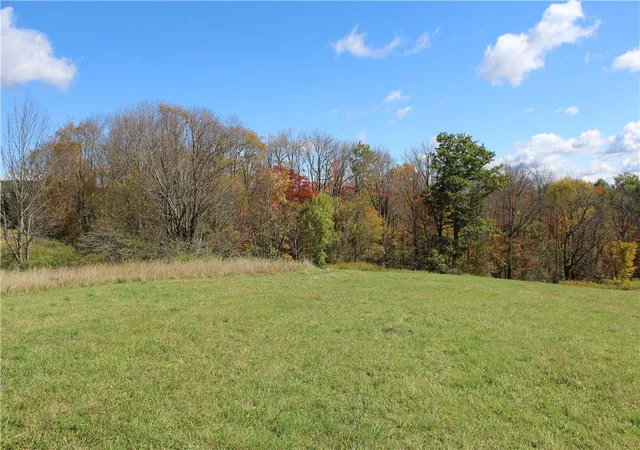 Homes for sale in Gilboa, NY | 238 Blackberry St, Gilboa, NY 12167 | MLS# R1685876