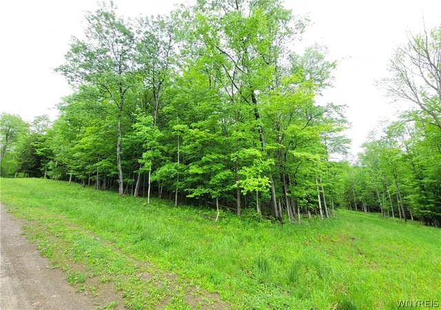 Homes for sale in Grove, NY | 0 Cr 24  Lot 18, Grove, NY 14884 | MLS# B1685895