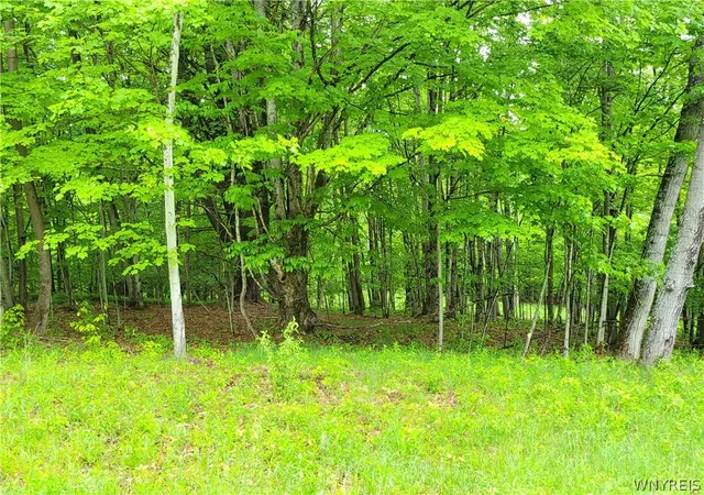 Homes for sale in Grove, NY | 0 Cr 24  Lot 18, Grove, NY 14884 | MLS# B1685895
