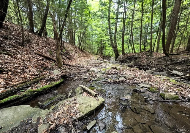 1st image of Stewart Rd, Addison, NY 14801 | MLS# S1685924