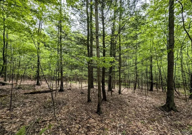 2nd image of Stewart Rd, Addison, NY 14801 | MLS# S1685924