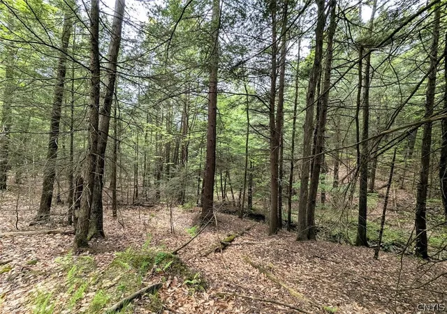 3rd image of Stewart Rd, Addison, NY 14801 | MLS# S1685924
