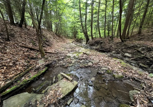 5th image of Stewart Rd, Addison, NY 14801 | MLS# S1685924