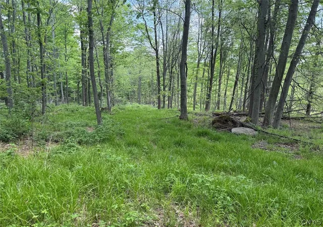 Photo 1 of Sale Pending at Dye Rd, South Dayton, NY 14138 | MLS# S1685948 | Listing updated on 2026-06-05