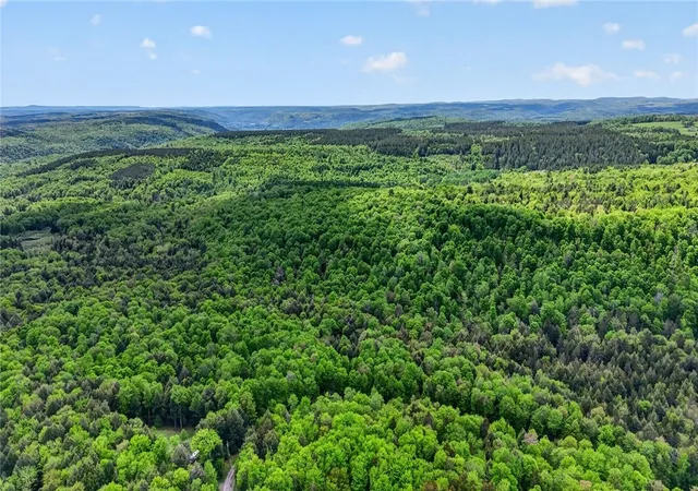 Homes for sale in Jefferson, NY | L16 Crystal Brook Path, Jefferson, NY 12093 | MLS# R1684989