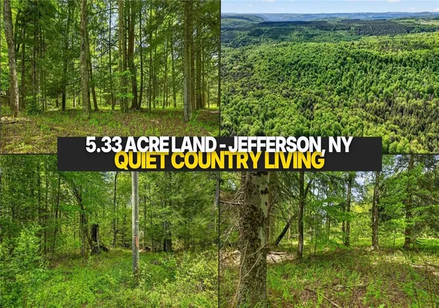 Homes for sale in Jefferson, NY | L16 Crystal Brook Path, Jefferson, NY 12093 | MLS# R1684989