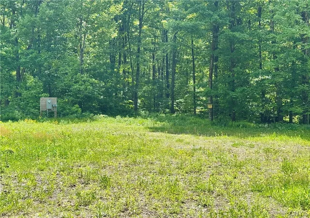 1st image of 98 Wooliver Rd, Richland, NY 13144 | MLS# S1685979