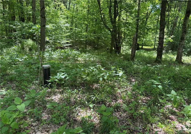 Photo 4 of Land for sale at 98 Wooliver Rd, Richland, NY 13144 | MLS# S1685979 | Listing updated on 2026-08-02