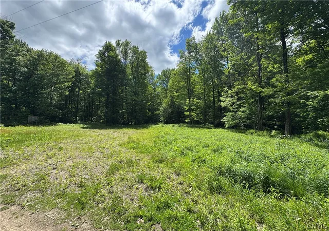 Photo 5 of Land for sale at 98 Wooliver Rd, Richland, NY 13144 | MLS# S1685979 | Listing updated on 2026-08-02