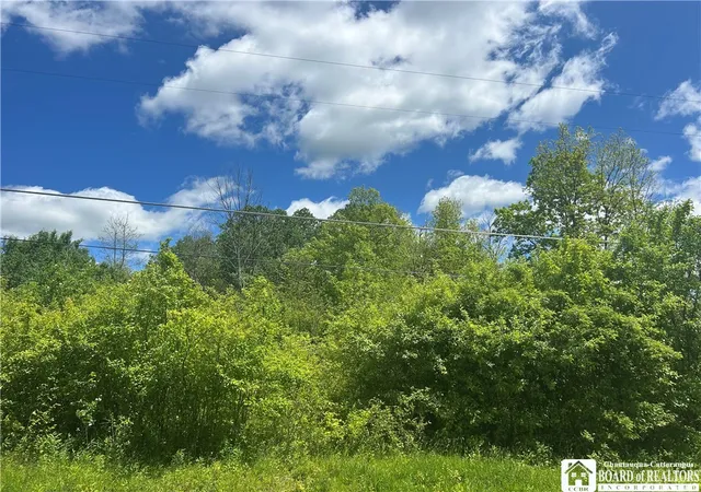4th image of Belleview Rd E, Ellery, NY 14712 | MLS# R1686120
