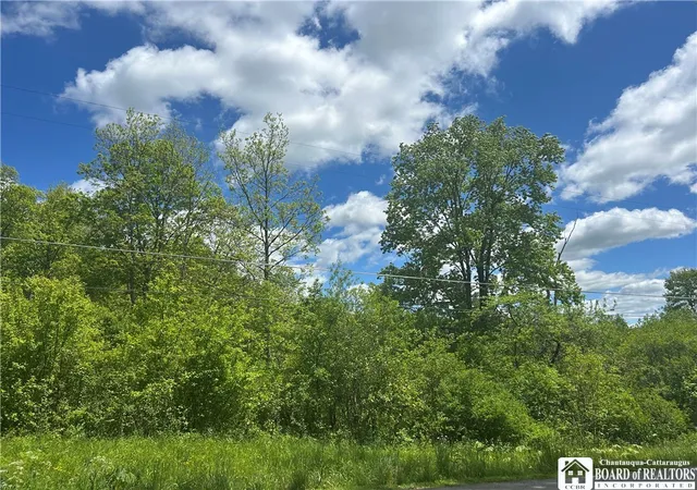 5th image of Belleview Rd E, Ellery, NY 14712 | MLS# R1686120