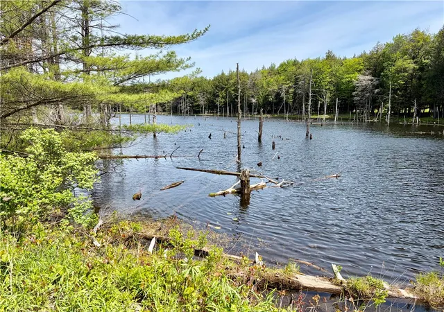 1st image of 0 Maples Rd, Hartwick, NY 13348 | MLS# R1685564