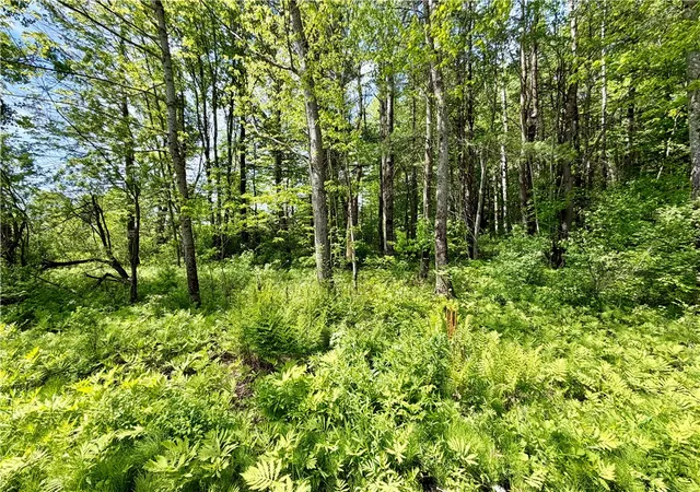 2nd image of 0 Maples Rd, Hartwick, NY 13348 | MLS# R1685564