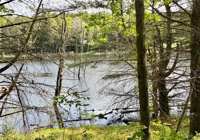 3rd image of 0 Maples Rd, Hartwick, NY 13348 | MLS# R1685564