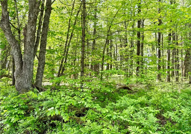 4th image of 0 Maples Rd, Hartwick, NY 13348 | MLS# R1685564