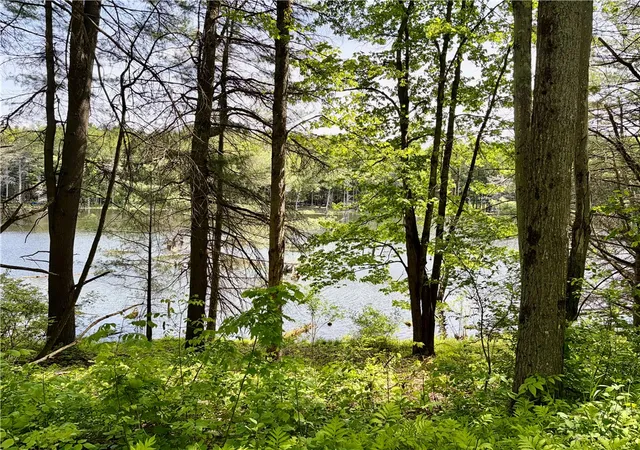 5th image of 0 Maples Rd, Hartwick, NY 13348 | MLS# R1685564