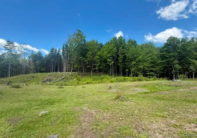 1st image of 1055 Albion Cross Rd, Pulaski, NY 13142 | MLS# S1686125