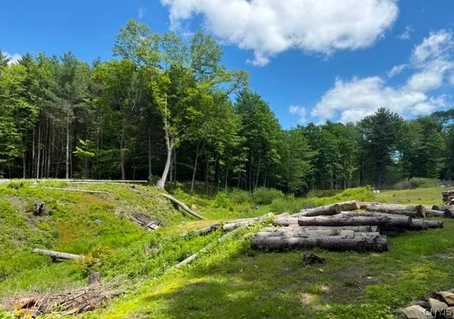 3rd image of 1055 Albion Cross Rd, Pulaski, NY 13142 | MLS# S1686125