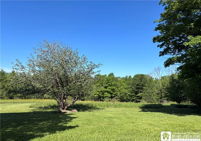 Homes for sale in Machias, NY | 8905 Tug Hill Rd, Machias, NY 14101 | MLS# R1685682