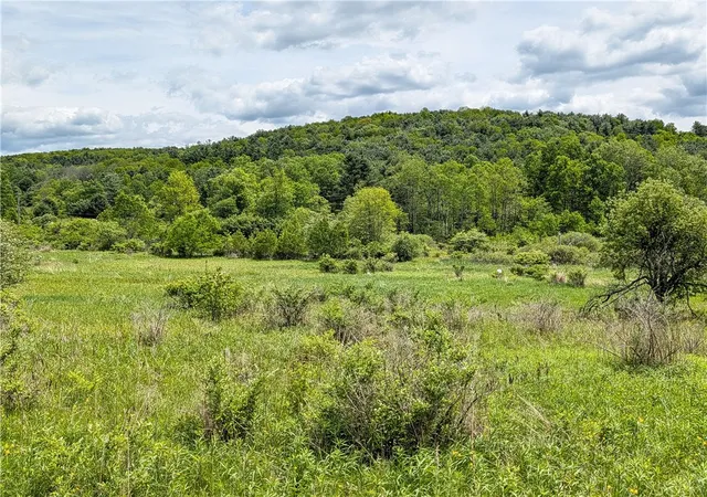 9th image of 1438 County Hwy 4, Butternuts, NY 13825 | MLS# R1678908