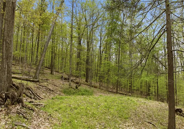 Homes for sale in Urbana, NY | Silvernail Rd, Urbana, NY 14840 | MLS# R1683337